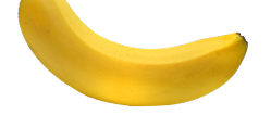 ds