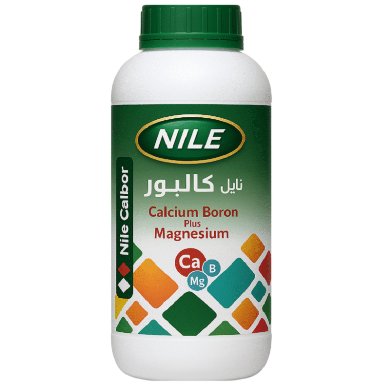 ⁦نايل كالبور⁩ - الصورة ⁦1⁩