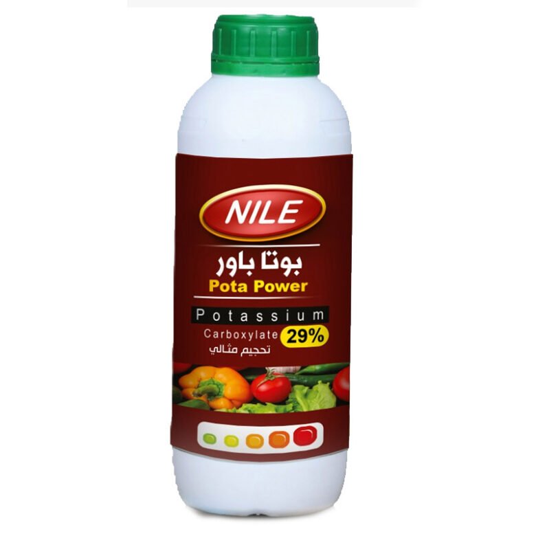 ⁦نايل بوتا باور 29%⁩ - الصورة ⁦1⁩